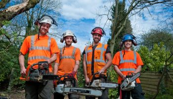 Workers with chainsaws