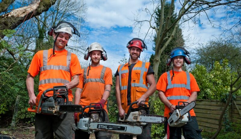 Workers with chainsaws