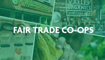 FairtradeCoops-FeaturedGrpahic